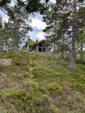 Helårs fjellhytte